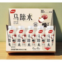杨协成马蹄爽荸荠饮料甘蔗汁饮料300ml*24罐浴场自助餐饮品批批发