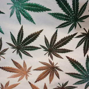 12���޷���ӡ����ɫ�u׃��������ִ���ُ�����Ьñ�����y������