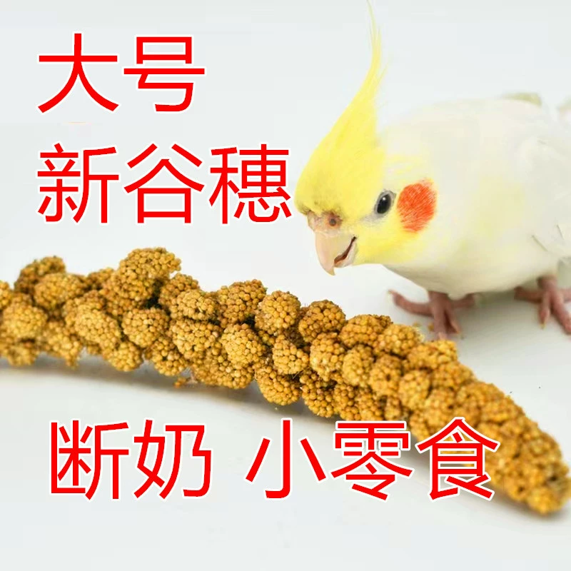Новое зерно ухо шелушится желтое просо Xuanfeng кожа тигра корма птица еда Попугай птица еда хомяк белка еда