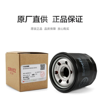 Benelli Huanglong BN TNT600i Air filter