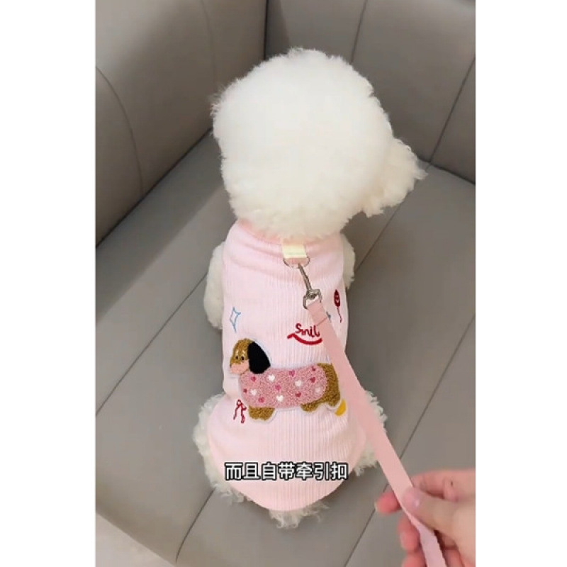 테디 개 개 옷 여름 새로운 귀여운 다채로운 닥스 훈트 베델 벨트 견인 버클 빅시 곰 작은 개 고양이