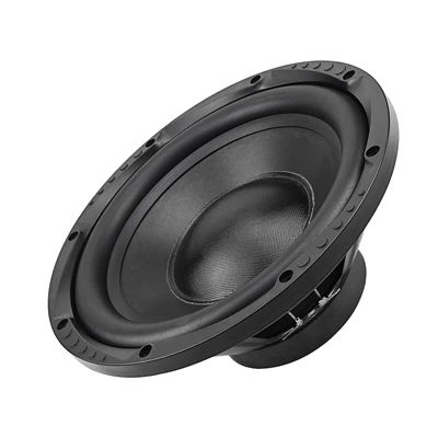 Speaker, Car speaker/subwoofer