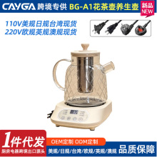 Amazon新爆款家用玻璃养生壶花茶壶多功能分体110V美规台灣煮茶器