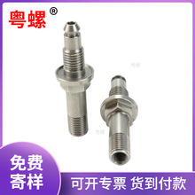 �t���O���Ӛ�����^���304���P䓹����y�T�t���O��