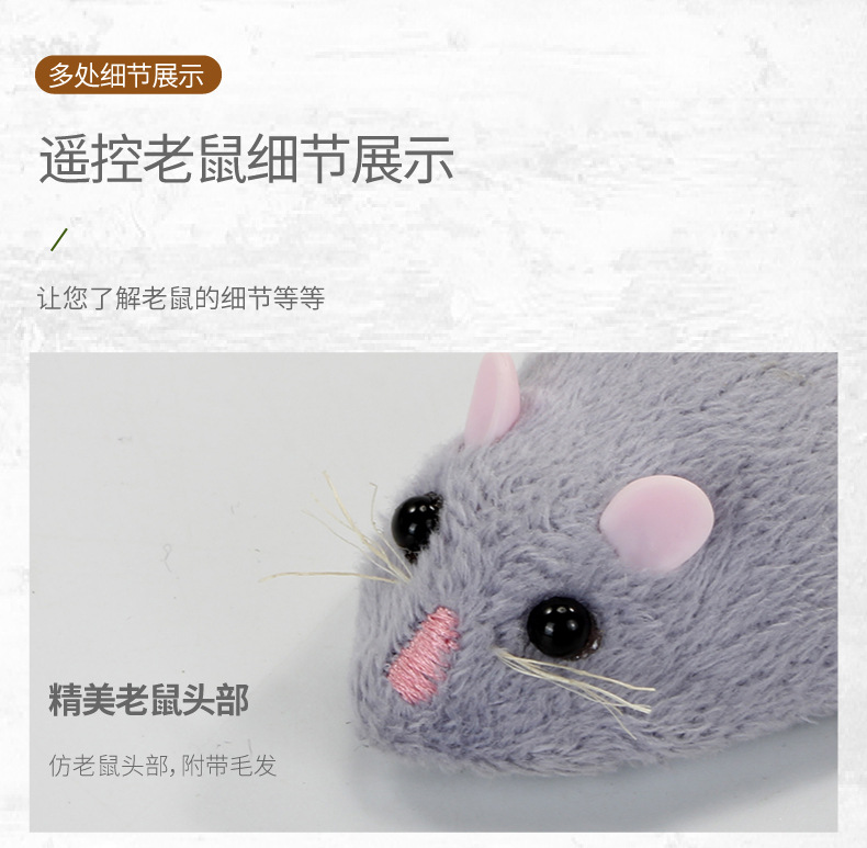 老鼠-01_10.jpg