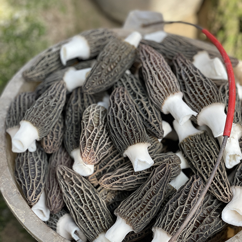 微信图片_20230328165322