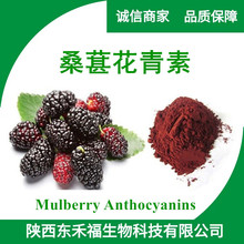 ɣػ25% ɣȡMulberry Anthocyanins 13306-05-3