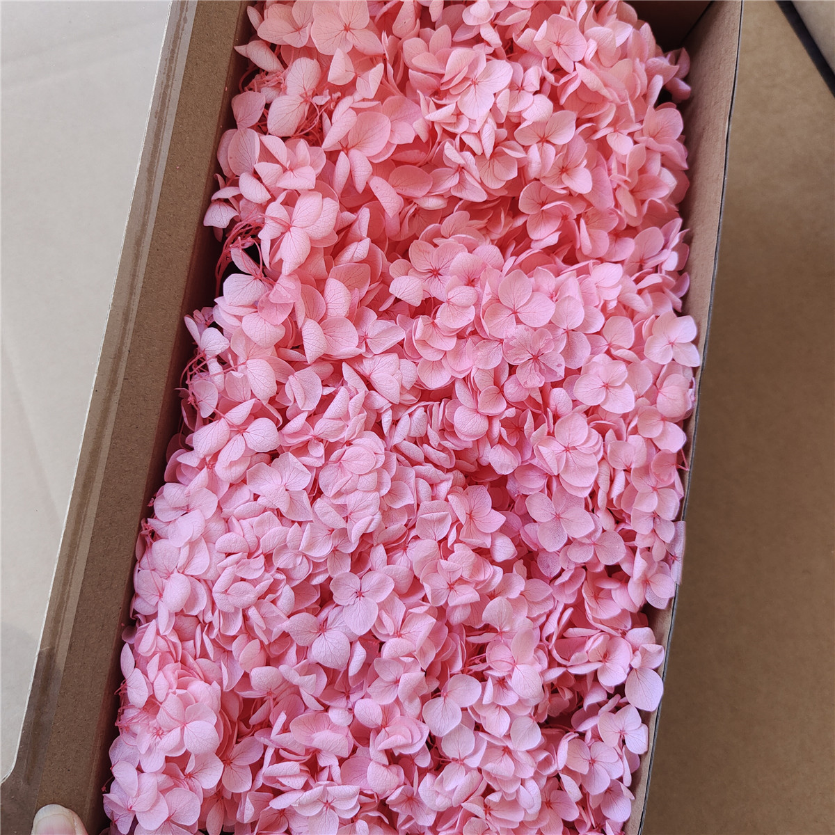 Flor eterna Hortensia Anna pequeña hoja flor seca flor real árbol de Navidad ventilador hecho a mano ramo DIY material paquete flor