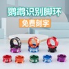 Bird Ring Cappack Parrot Foot Round recognition ring electroplated alloy closed foot closed foot