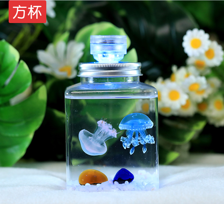 水母活物缸家养好养儿童学生桌面小动物宠物迷你懒人水族箱赤月