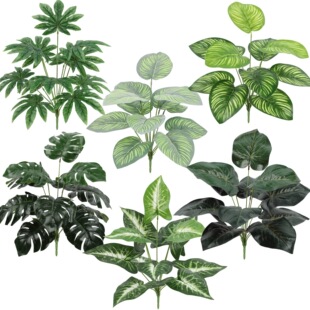 ����Gֲ�����~�G�}��˹�~����ֲ��廨��Ļ�Y�bٻ����l