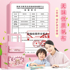 High-quality appearance girl's hand-held waterproof study bag, large capacity children's cartoon multi-layer document bag, book bag package