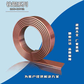 厂家直销 C19210 C192铁铜 磁铜 引线框架 半导体铜带 新能源汽车