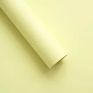 Importación de siete colores cordier gruesa impermeable doble cara cubierta de plata mate modelado cartón flor flor flor de embalaje flor tienda de flores