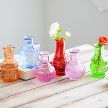 亚马逊创意小号玻璃花瓶彩色家用水培绿萝插花器客厅装饰摆件批发