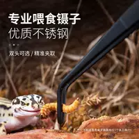 Заползающая черепаха, хранящая дворец, грива, ящерица, рогатая лягушка, рептилия, кормление пинцет, хомяк кормит из нержавеющей стали, пинцет