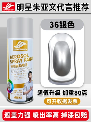 Avtomobil boya qələmləri, Haoshun Automatic Hand-cranked Self-painting - shushun-self-painting-450ml36silver