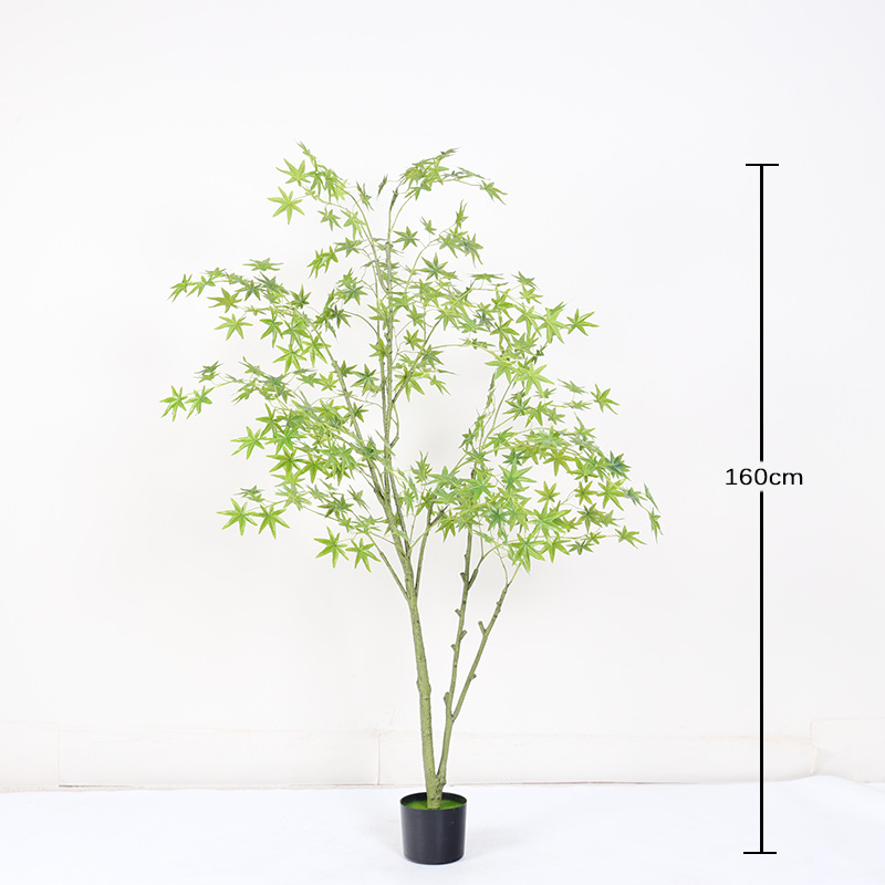 Mini planta en maceta de hoja de arce verde encriptada 160cm (con maceta negra)