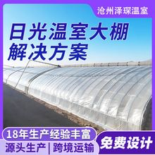 ���Ҵ��ﴺ�ﹰ����������ů���չ���һ��ܲ���ֲ�����ͨ�L����