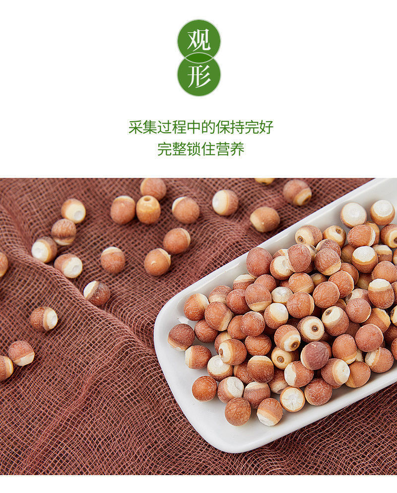 Dried Euryale Seed Qian Shi 500g Red Skin Chicken Head Seed Whole Herb for Soup and Congee quality and texture