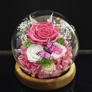 Yunnan Eternal Flower Creative Butterfly Glass Cover Spherical Rose Time Dried Flower Wholesale Valentine's Day Gift
