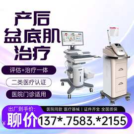 医用产后康复治疗仪治疗综合治疗仪 医用产后康复综合治疗仪厂家