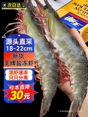 エイジングエビ 生急速冷凍 エクアドル産 3040 塩冷凍 南米産エビ 白エビ エビ 公式旗艦店