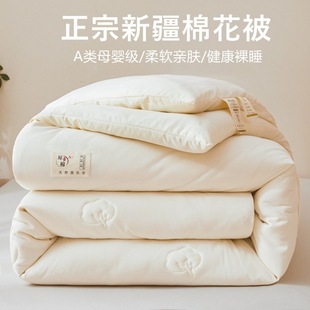 Class a Skin-Friendly Maternal and Infant Grade Raw Cotton Cotton Quilt Winter Quilt Spring & Fall Quilt Home Student Dormitory Quilt Air-Conditioned Quilt