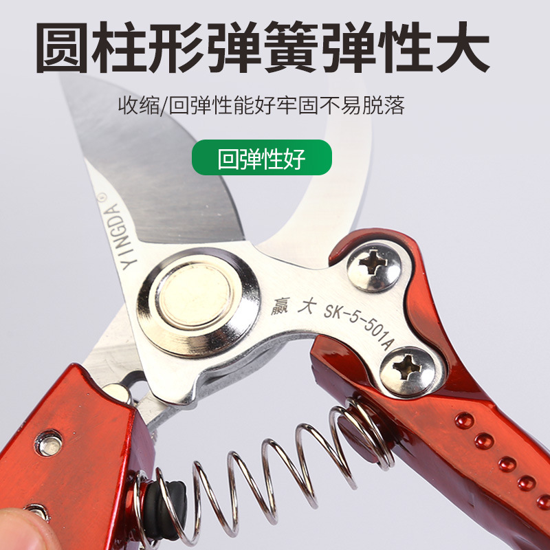 Mango de aleación de aluminio Tijeras de podar de árboles frutales Herramientas de jardín Tijeras de jardinería Tijeras de podar de árboles bonsai Tijeras de podar Ahorro de mano de obra Tijeras de injerto