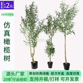 仿真橄榄树盆栽厂家现货办公室橄榄树落地摆件大盆栽仿真绿植造景