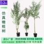 仿真办公室盆栽落地橄榄树