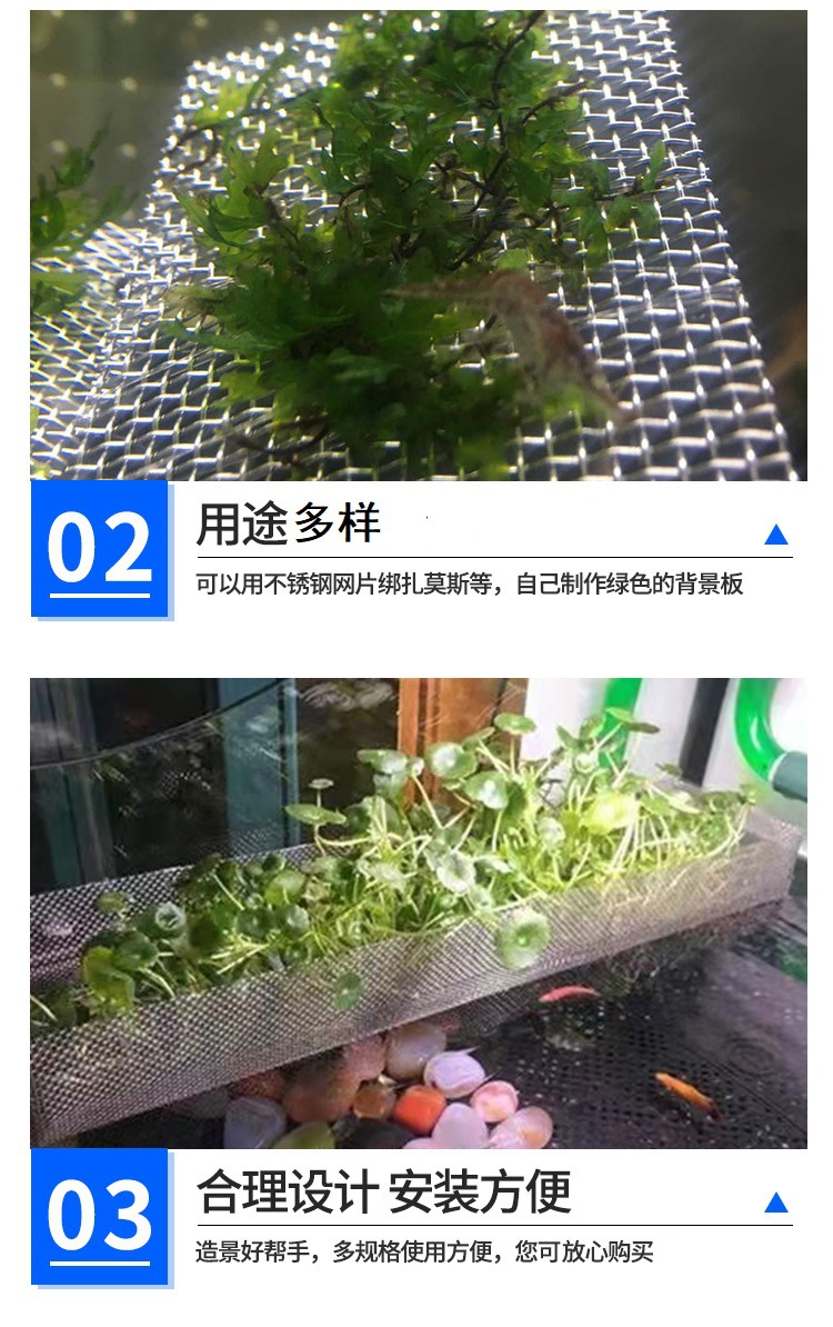 水草_06.jpg