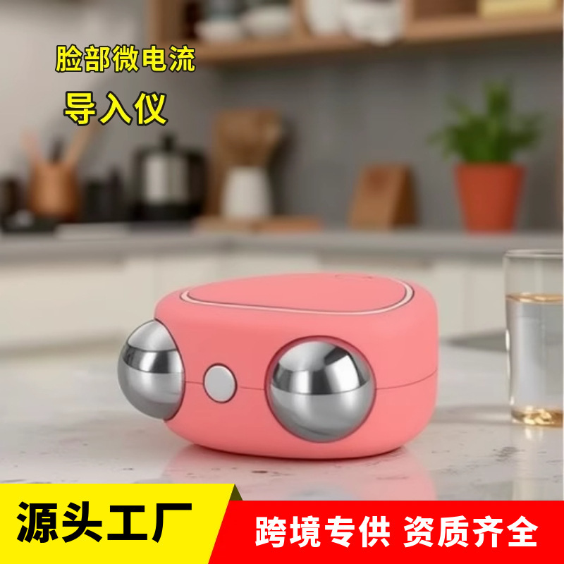 Facial Microcurrent Beauty Instrument Portable Charging Double-Head Massager USB Double Roller Introduction Instrument Massager