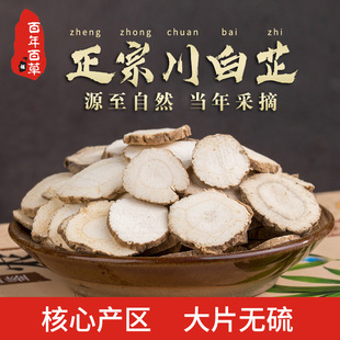 ������ș���Ĵ��쌎�ؼ����x��Ƭ�o��500����Ʒ��������Ĥ�ɴ��