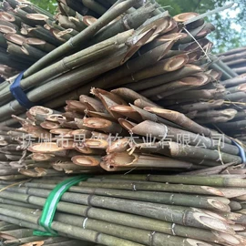 竹木藤苇干草;竹类植物;林业副产品