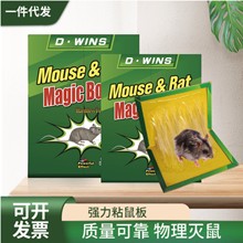 跨境批发老鼠板粘鼠贴大量批发家用老鼠贴强力老鼠胶可加LOGO