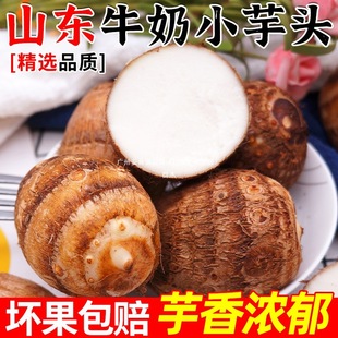 ɽ�|ţ�����^���r�F��СëܛŴ�㻬�r�aƷ��ܵ���r�߲����^С����