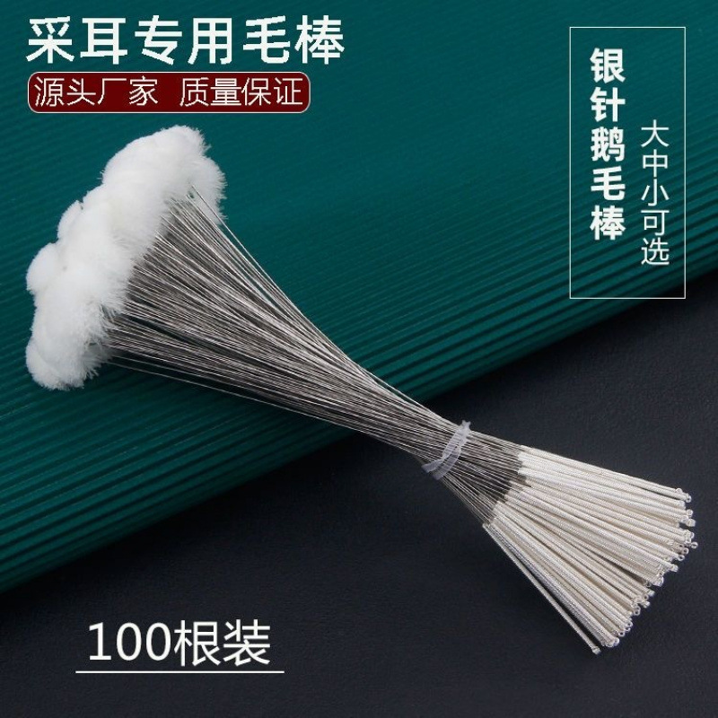 Herramientas de orejas, agujas de plata, palo de ganso, palo de caballo, palo de orejas, conjunto profesional de orejas, cuchara de orejas