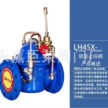 LH45X-16C DN40 �T䓷��m����ֹ���y΢������ֹ���y