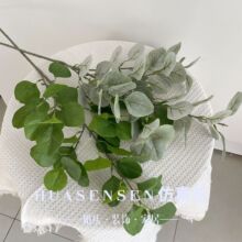 �S��ֱ�N3D��ӡ�zƬ�����O���~��c�廨���ֲ���ı��Wɭϵ