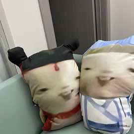 新款胡巴超抽象表情包搞怪双面抱枕捉妖记玩偶送朋友生日礼物植物