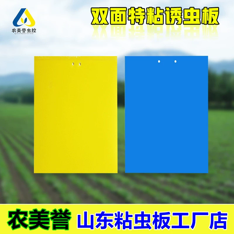 Желтая доска насекомого двухсторонняя желтая пластина синяя плита теплицы Шаньдун сельскохозяйственной репутация доска насекомых завод магазин палку доска насекомого
