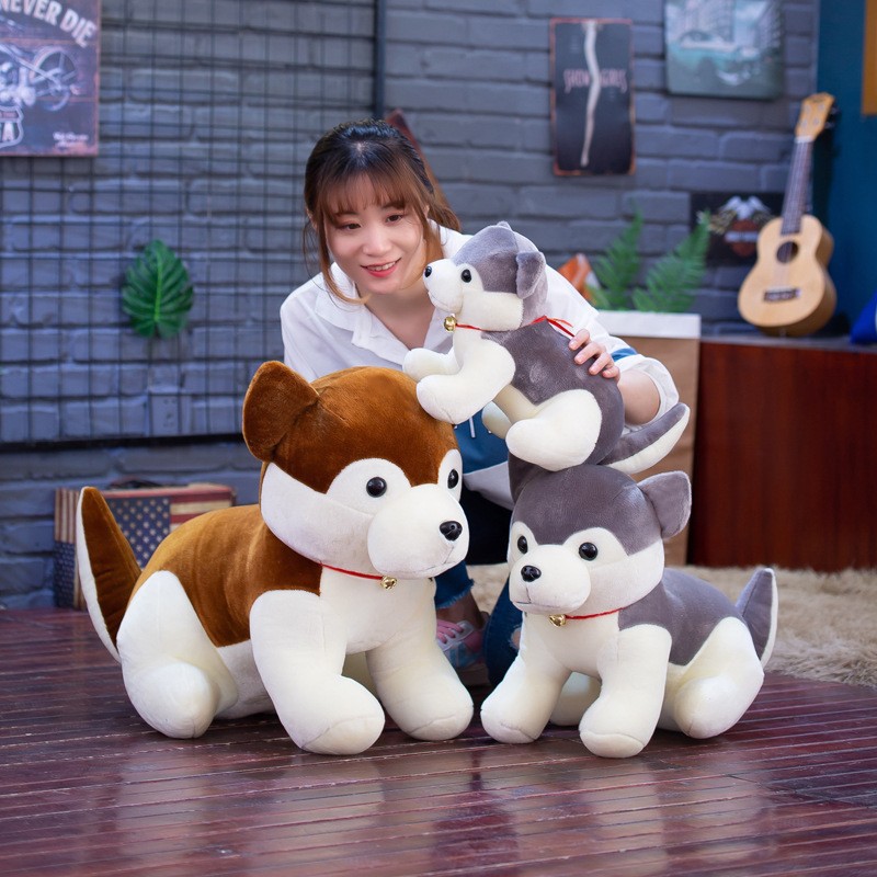 20978578140_336795105