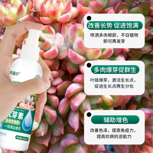 Dormant Growth Stimulant, Bud Booster, Flowering Plant Germination Aid, Dwarf Fat Plant Nutrient Solution, Succulent-Specific Bud Explosion Solution