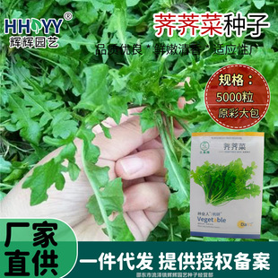 �j�j�˷N���r�Ҵ��~Ұ�˷N���j�˷N���̨�ļ������j�j�˷N�����l