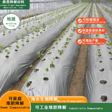 PLAȫｵĤ əCеO a Ĥ Ч