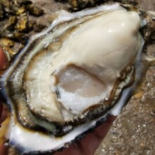 ԭ�a������r������50�����rĵϠ��Ϡ������ؐ��rˮ�a�r�����l