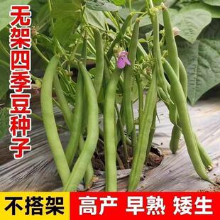 �ļ����N�ӟo������ض����ǷN�Ӱ������ô�ܿ������߲�ܿ���N��