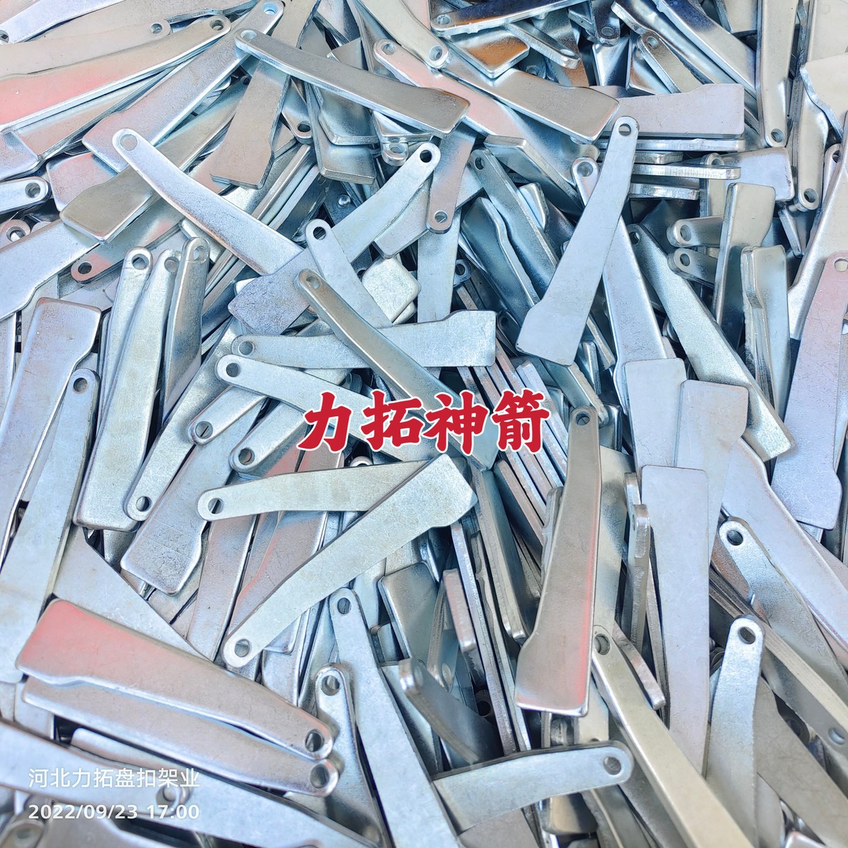 微信图片_20231127125618