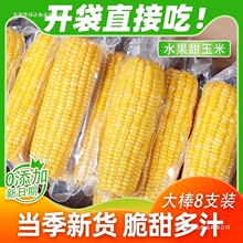 云南即食甜玉米水果玉米免煮低脂方便代餐减速食新鲜嫩玉米清甜